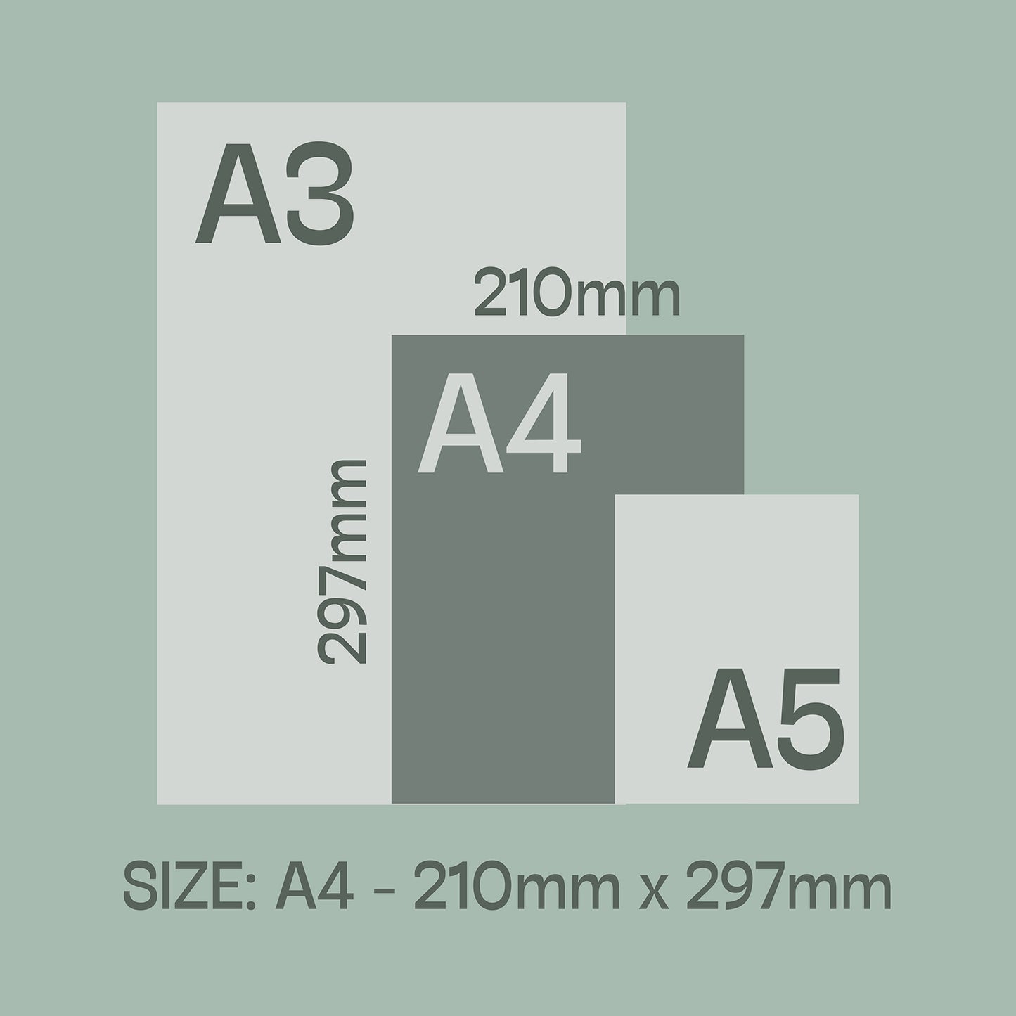 2026 Wall Calendar, Core Colour, A4