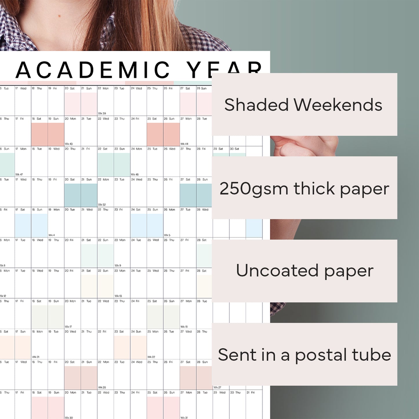 2025 - 2026 Large Academic Year Wall Planner, Pastel Colours