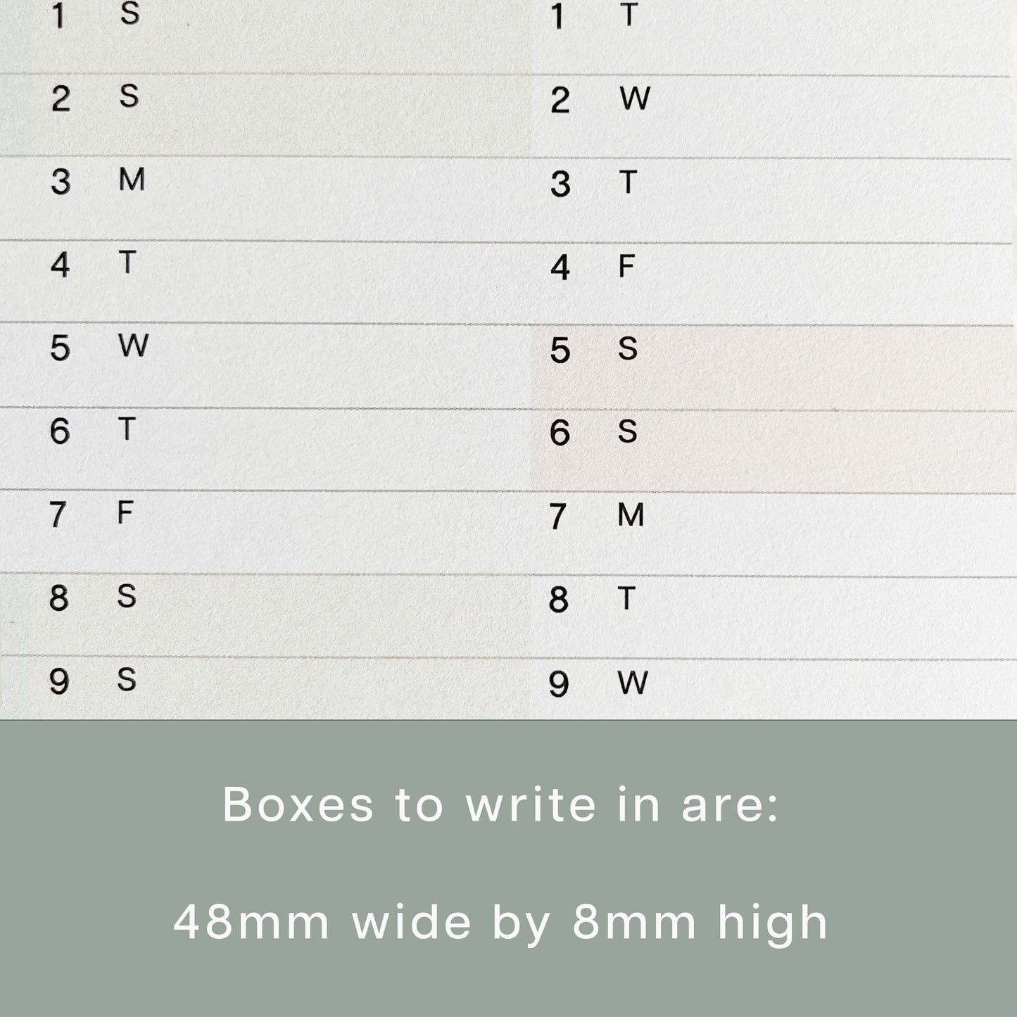 2025 Pastel Colours Wall Planner, A3 Long Size