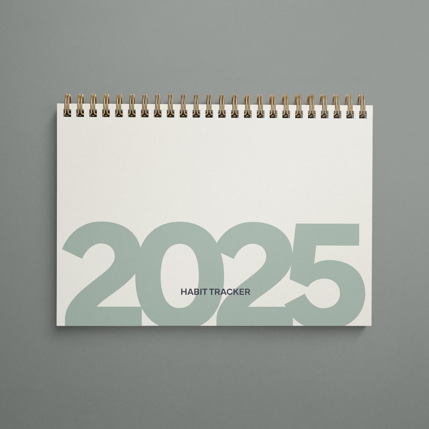 2025 Daily Habit Tracker Notebook